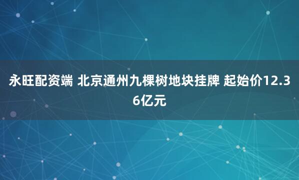 永旺配资端 北京通州九棵树地块挂牌 起始价12.36亿元