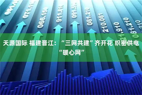 天源国际 福建晋江:“三网共建”齐开花 织密供电“暖心网”