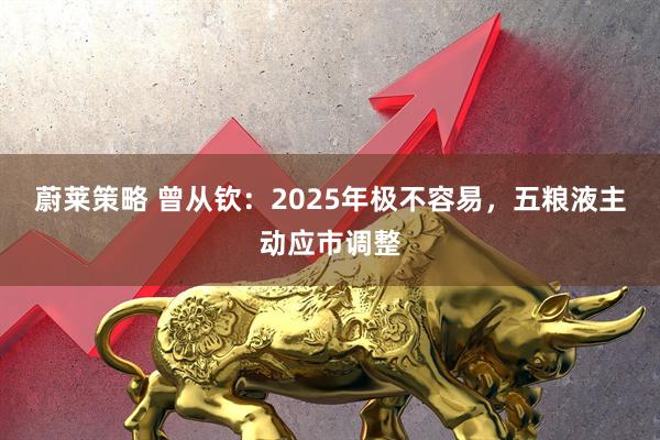 蔚莱策略 曾从钦：2025年极不容易，五粮液主动应市调整