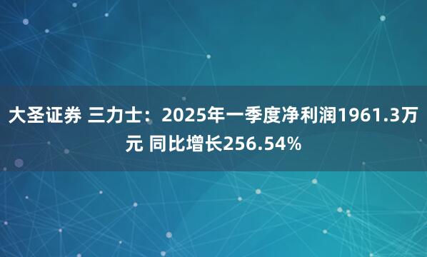 大圣证券 三力士：2025年一季度净利润1961.3万元 同比增长256.54%