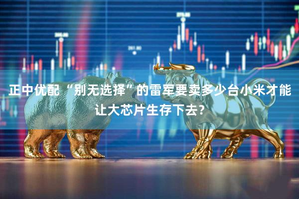 正中优配 “别无选择”的雷军要卖多少台小米才能让大芯片生存下去？