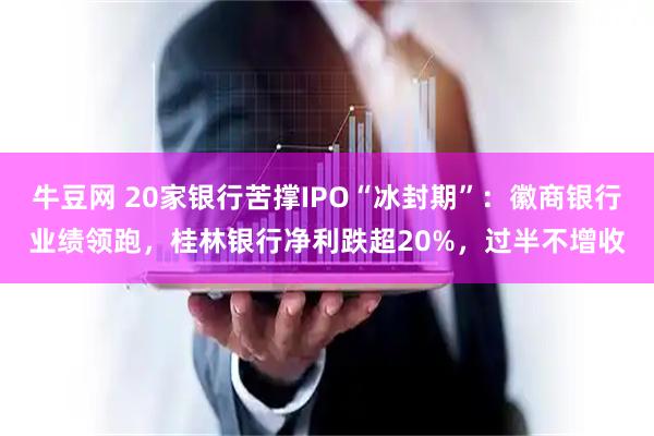 牛豆网 20家银行苦撑IPO“冰封期”：徽商银行业绩领跑，桂林银行净利跌超20%，过半不增收