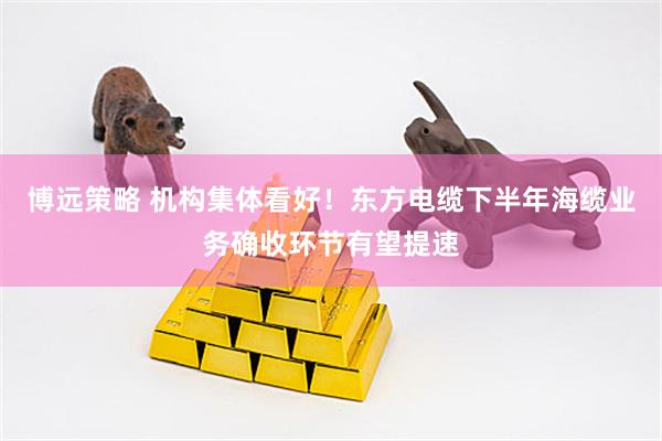 博远策略 机构集体看好！东方电缆下半年海缆业务确收环节有望提速